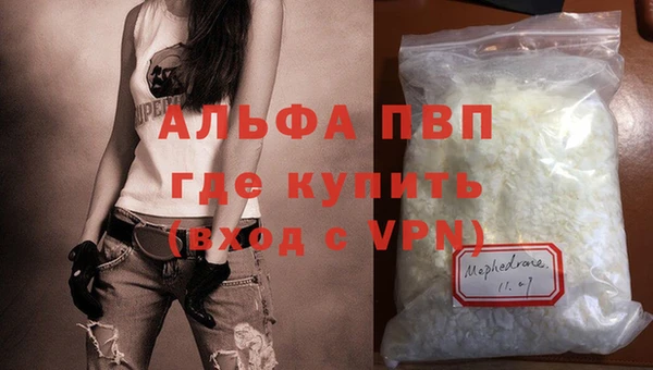 ГАЛЛЮЦИНОГЕННЫЕ ГРИБЫ Кирсанов